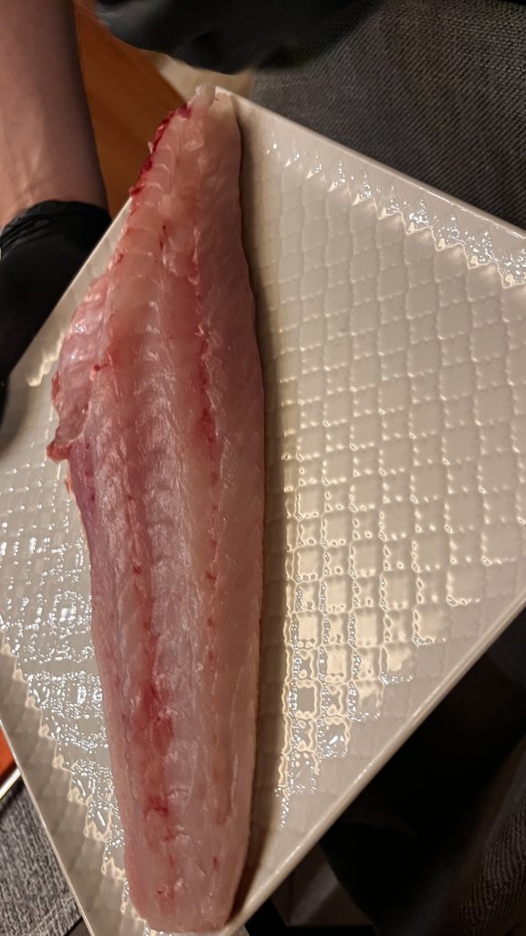 filetto di gallinella