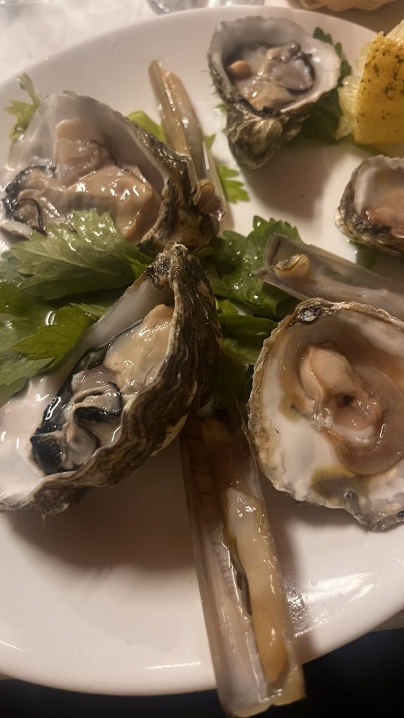 fantasia di mare fredda